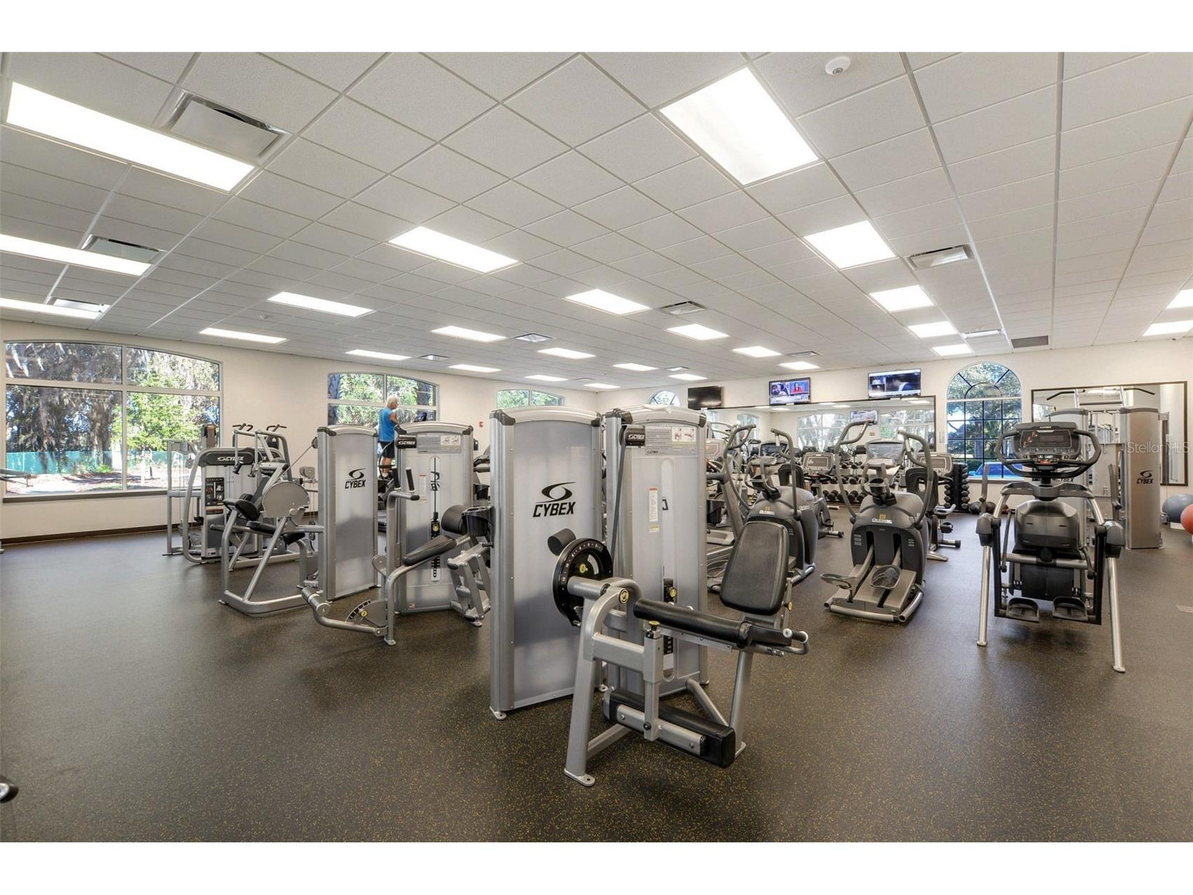 10446 Lucaya Drive Tampa FL 33647 TB8508754 image65