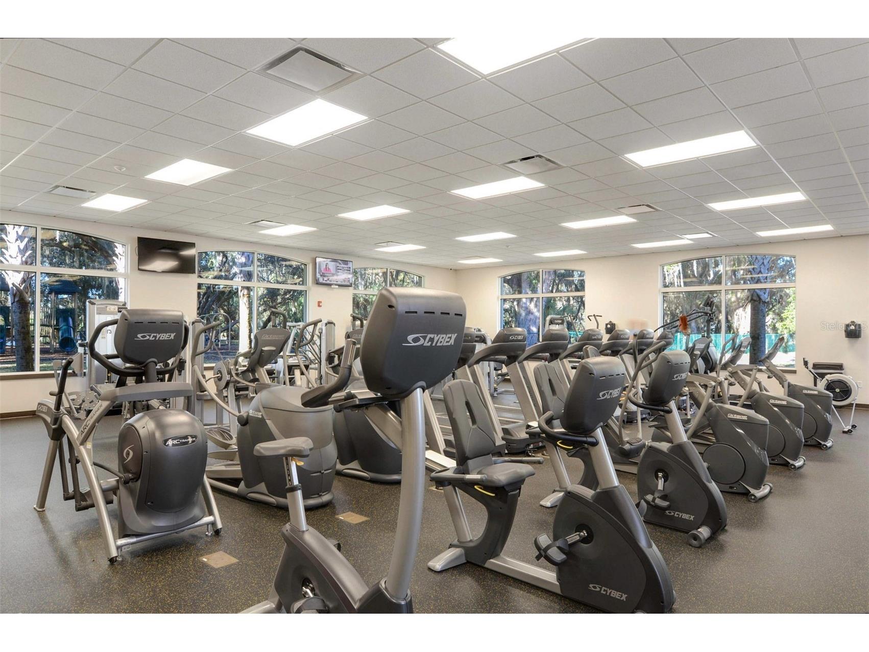 10446 Lucaya Drive Tampa FL 33647 TB8508754 image66