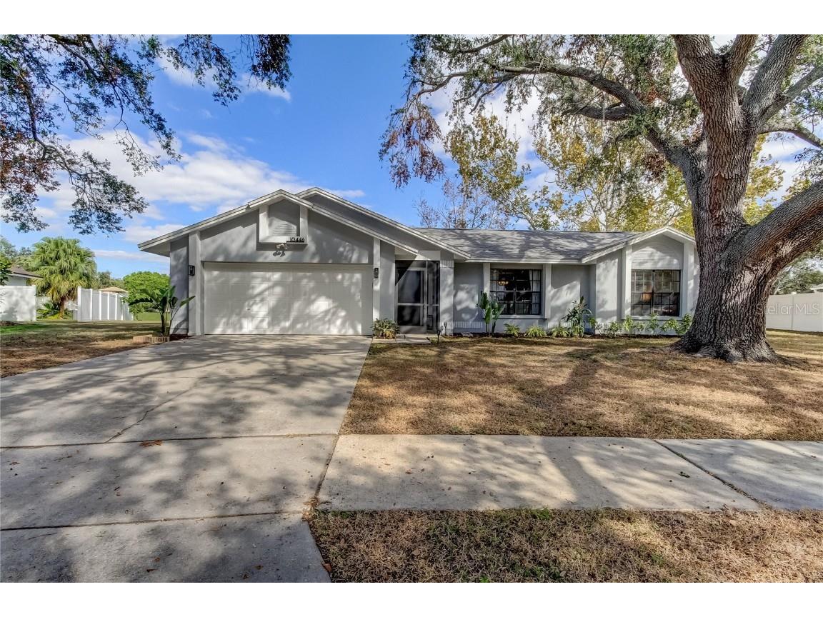 10446 Tara Dr Riverview FL 33578 TB8322884 image1