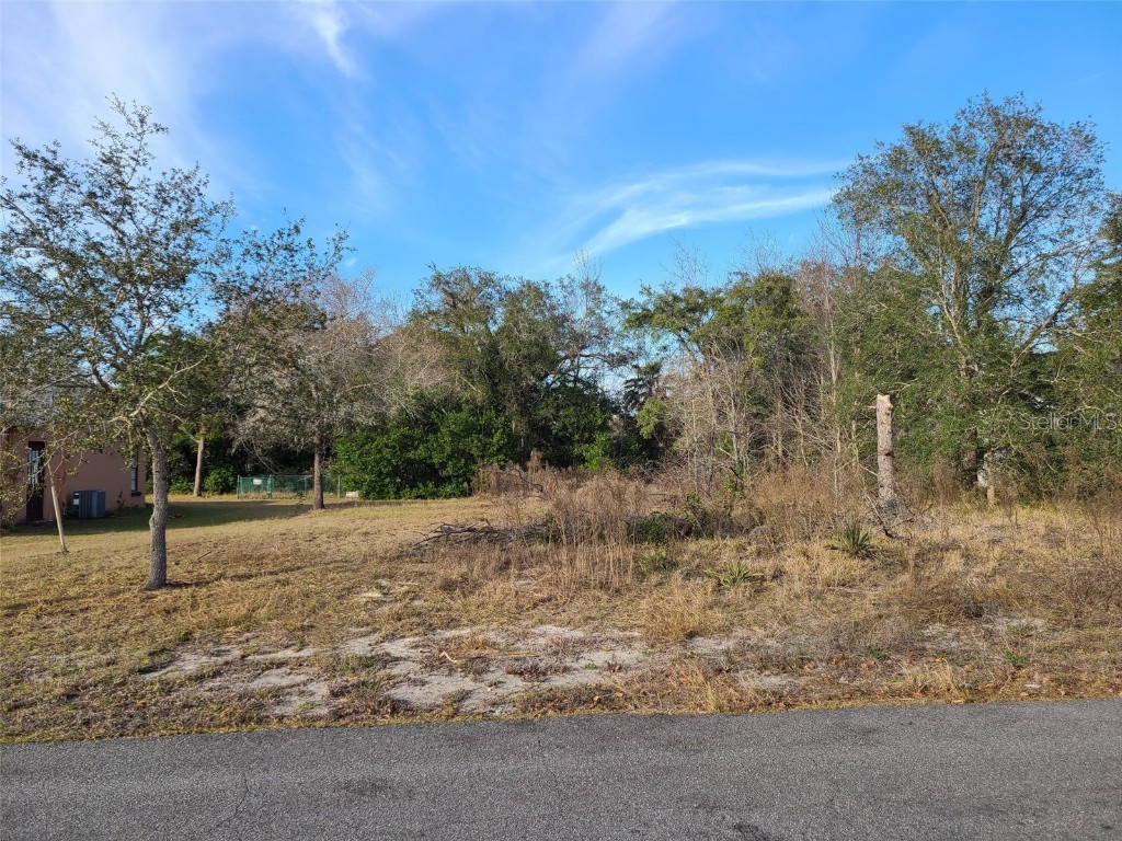 10447 Baylor Drive Spring Hill FL 34608 W7847724 image1