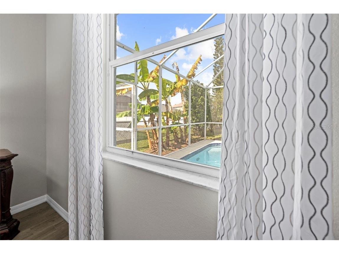 10447 Peppergrass Court Trinity FL 34655 TB8447548 image41