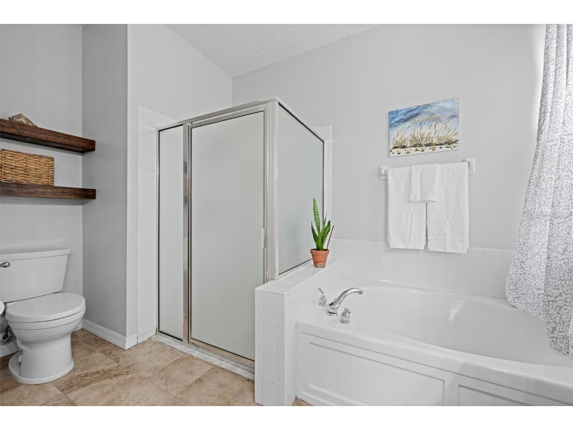 10447 Peppergrass Court Trinity FL 34655 TB8447548 image43