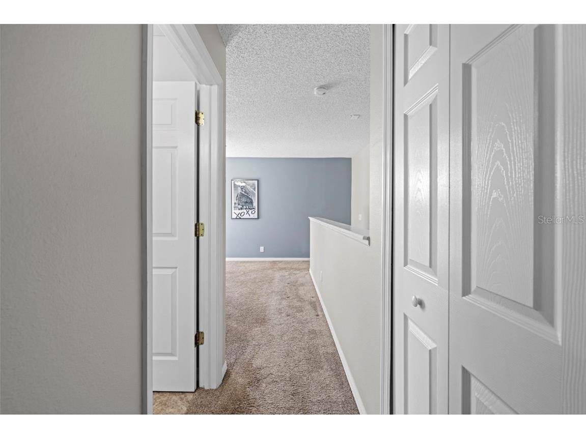 10447 Peppergrass Court Trinity FL 34655 TB8447548 image58