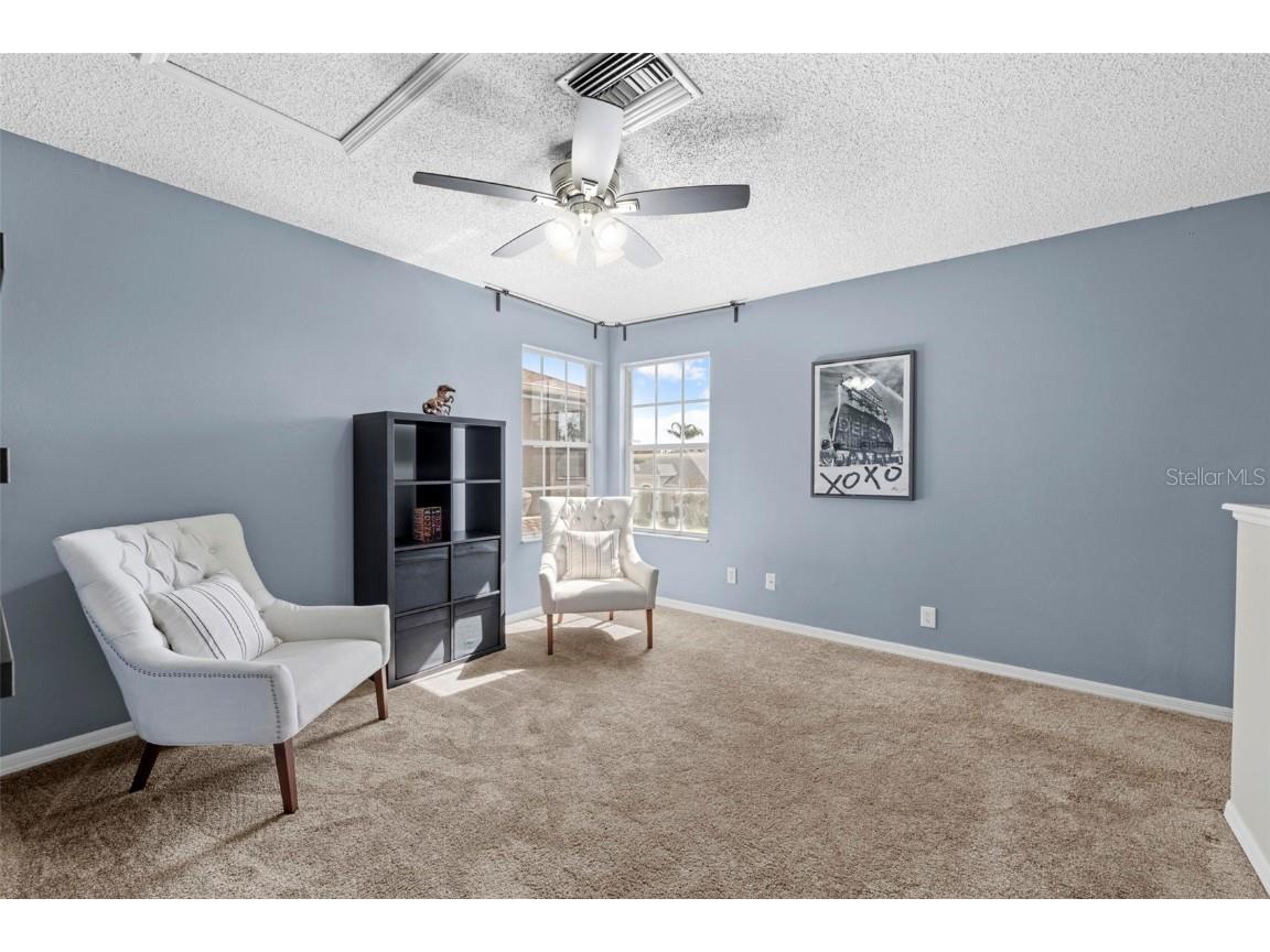 10447 Peppergrass Court Trinity FL 34655 TB8447548 image60