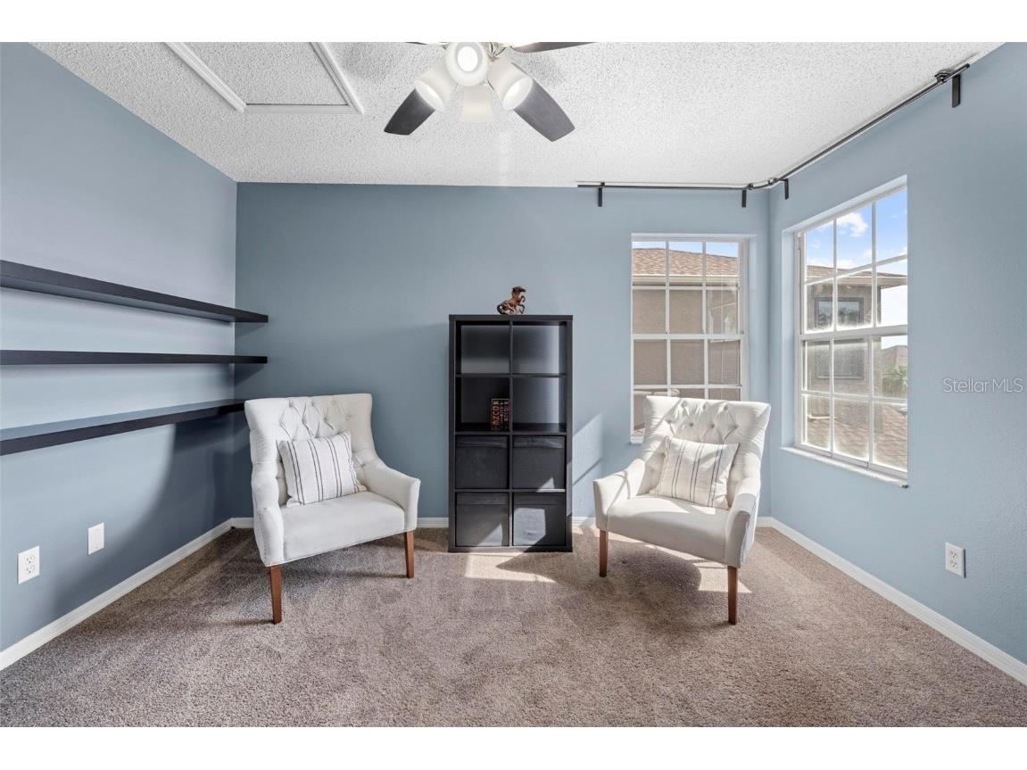 10447 Peppergrass Court Trinity FL 34655 TB8447548 image61