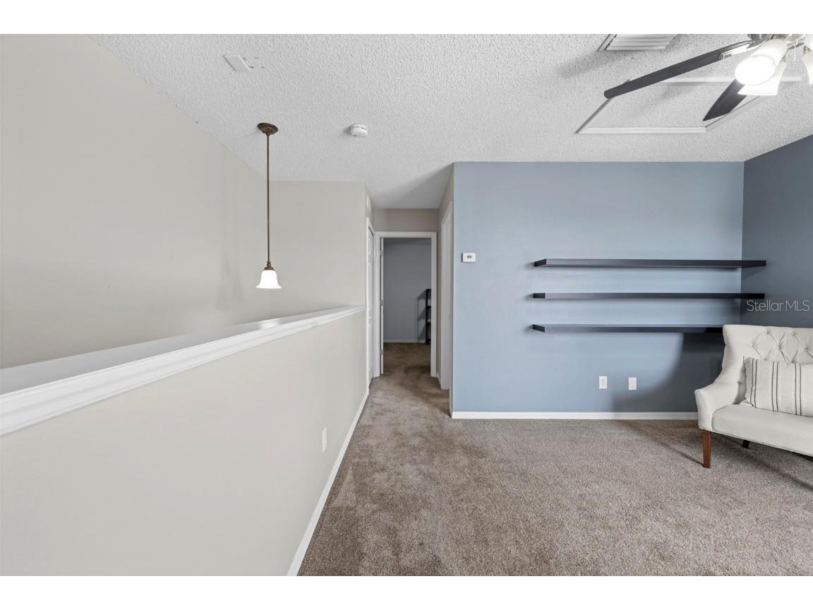 10447 Peppergrass Court Trinity FL 34655 TB8447548 image62