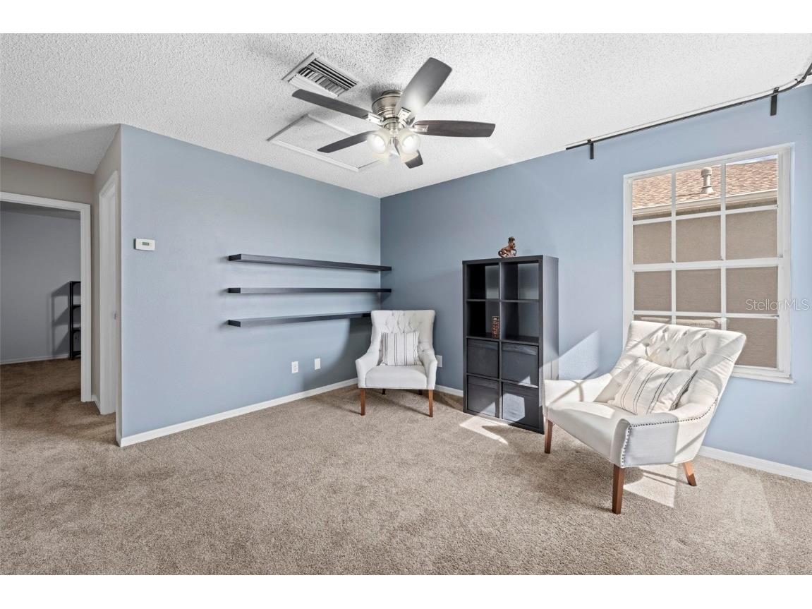 10447 Peppergrass Court Trinity FL 34655 TB8447548 image63