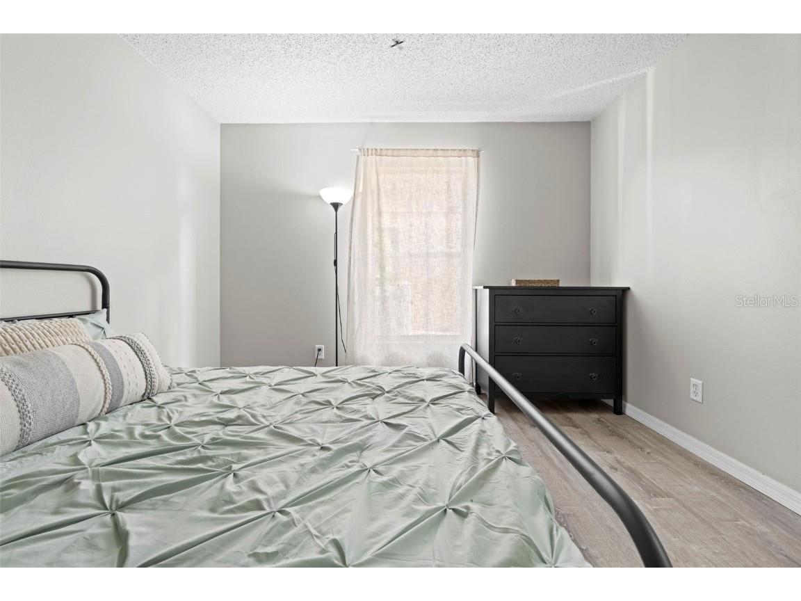 10447 Peppergrass Court Trinity FL 34655 TB8447548 image67