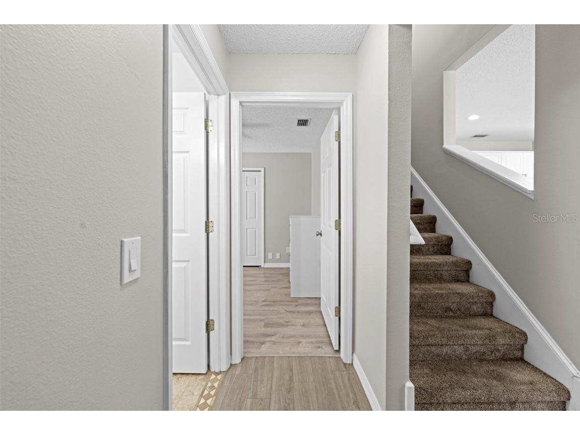 10447 Peppergrass Court Trinity FL 34655 TB8447548 image71