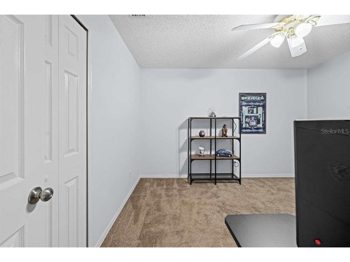 10447 Peppergrass Court Trinity FL 34655 TB8447548 image72