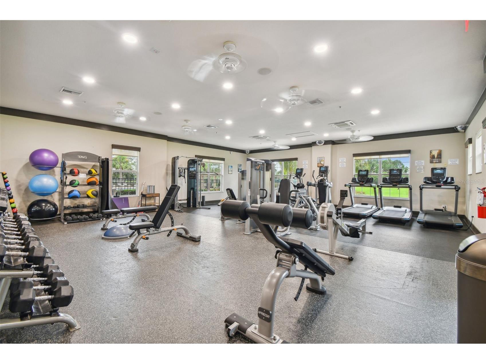 10448 48th Court E Parrish FL 34219 A4695390 image71