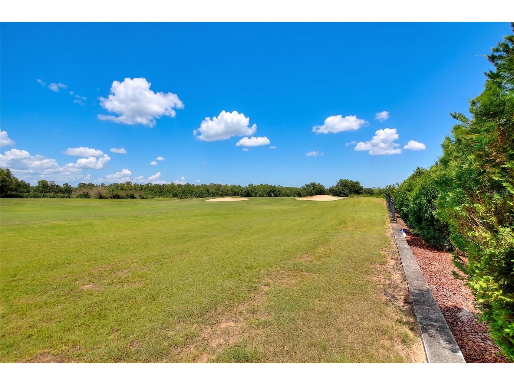 1045 Blackwolf Run Rd Davenport FL 33896 S5150290 image29