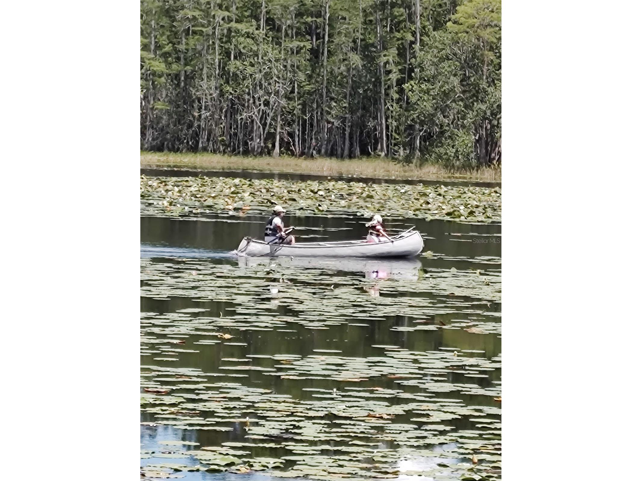 1045 Buckles Road Pierson FL 32180 NS1086882 image14