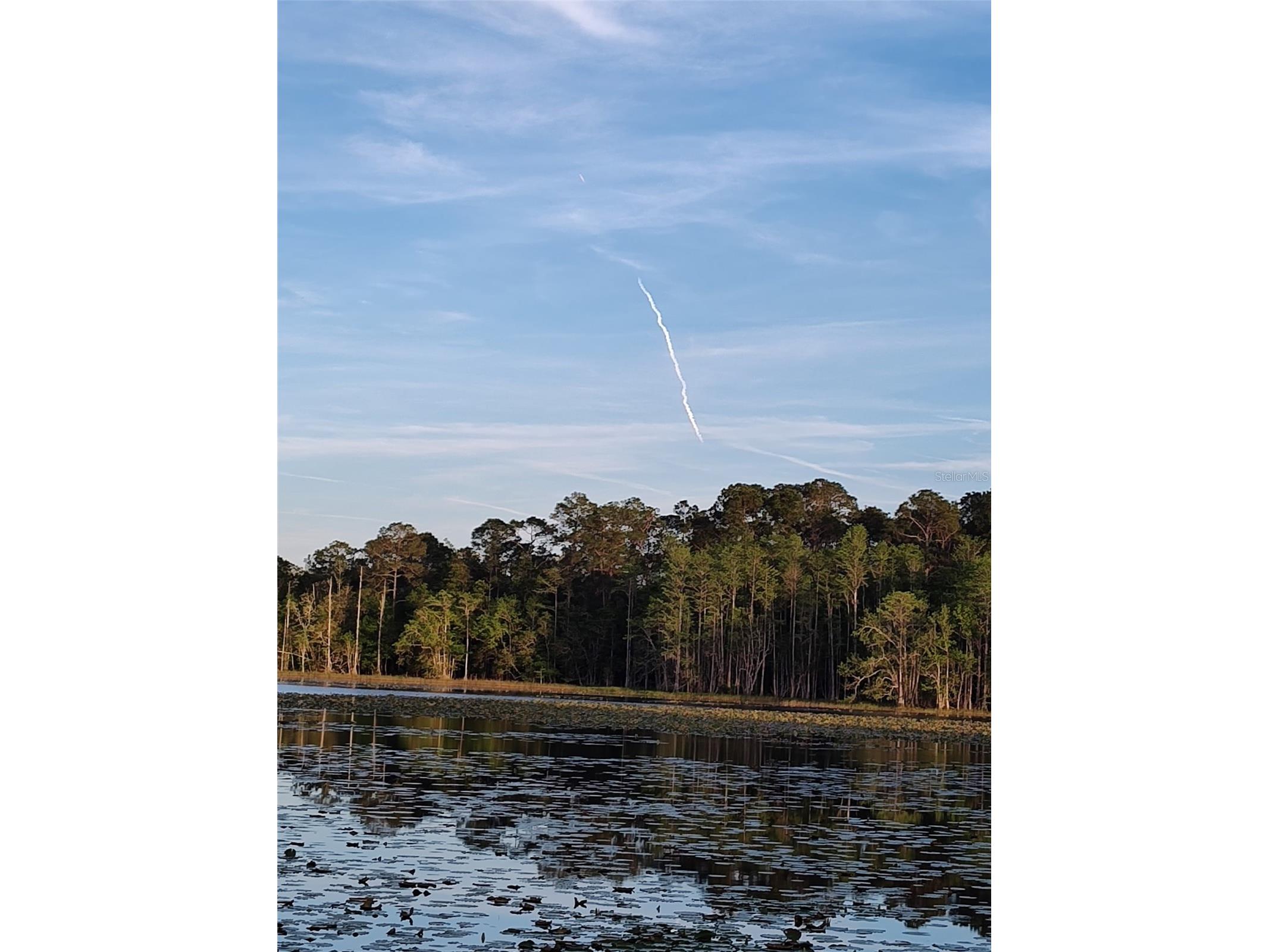 1045 Buckles Road Pierson FL 32180 NS1086882 image15