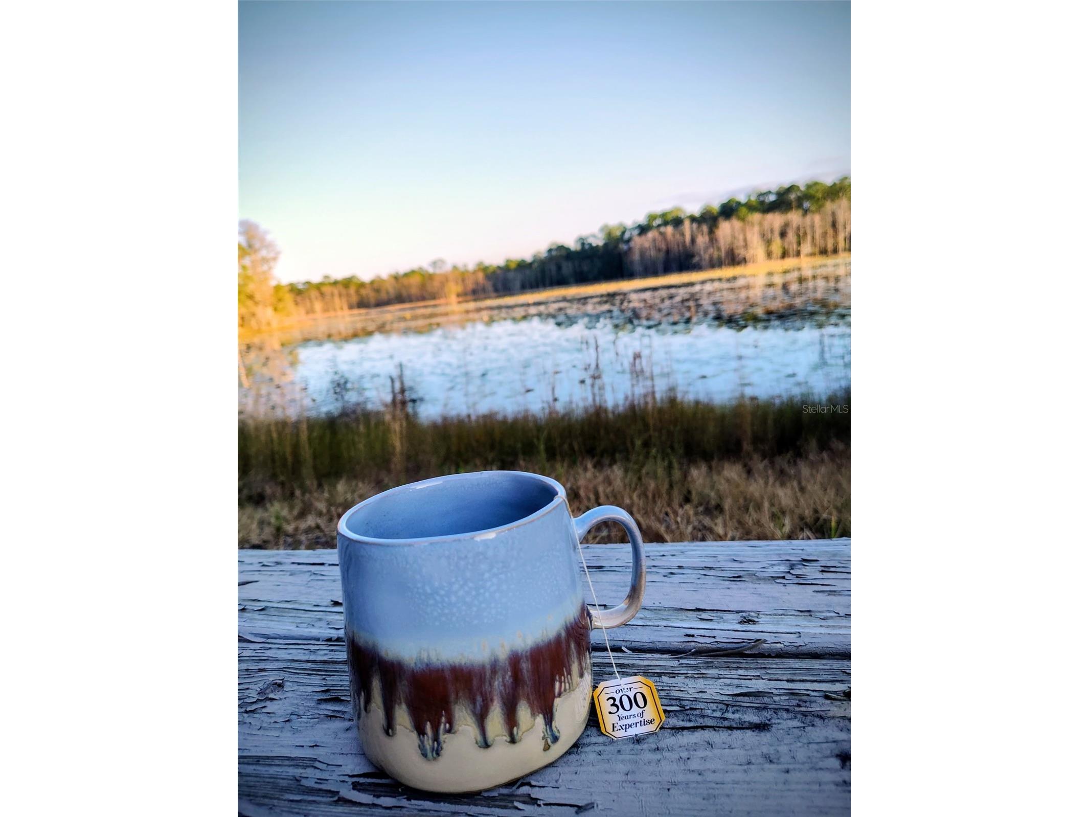 1045 Buckles Road Pierson FL 32180 NS1086882 image17