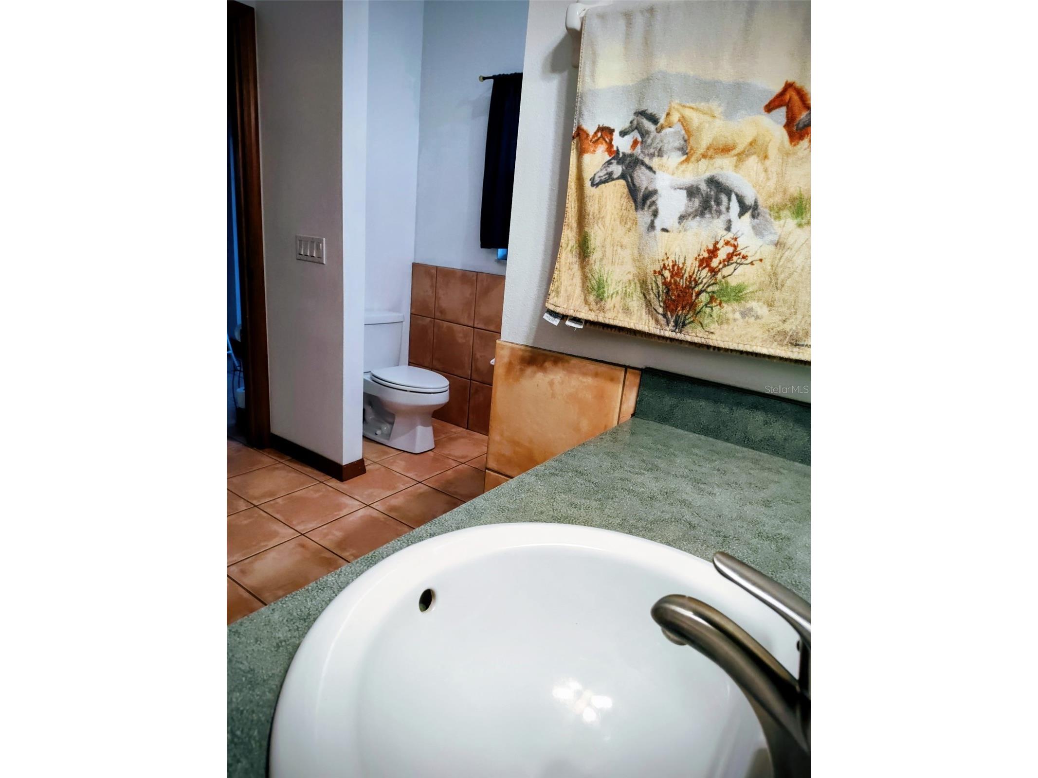 1045 Buckles Road Pierson FL 32180 NS1086882 image18