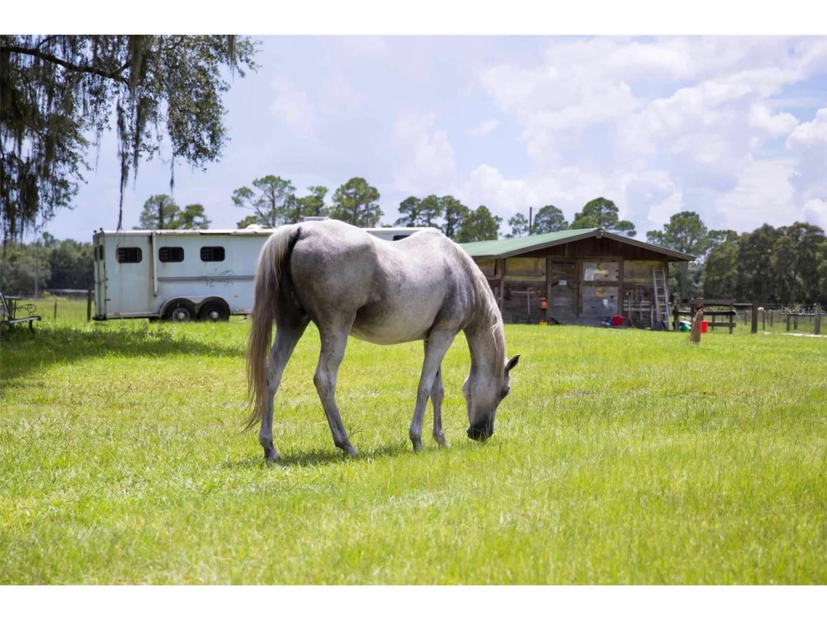 1045 Buckles Road Pierson FL 32180 NS1086882 image21