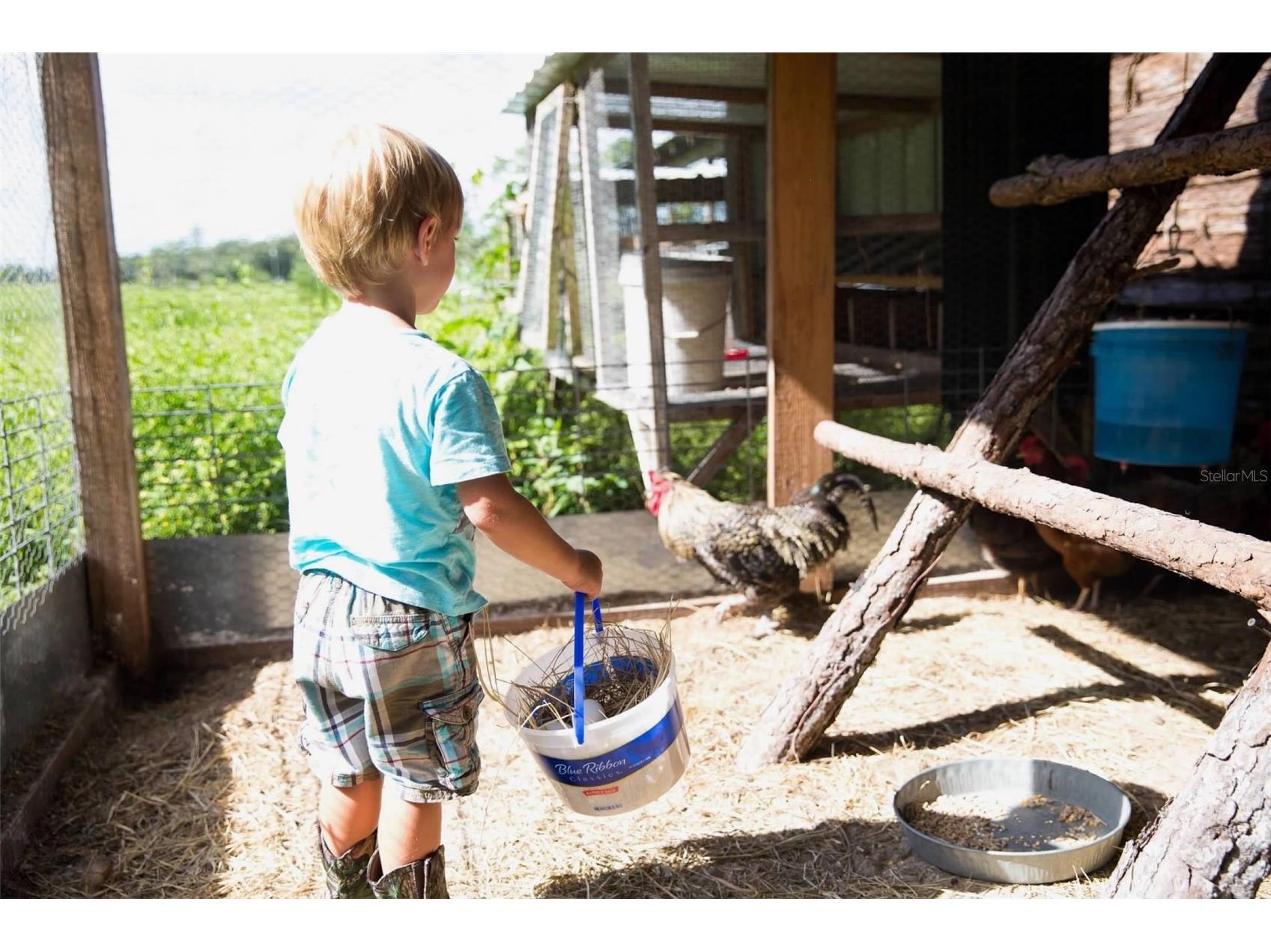 1045 Buckles Road Pierson FL 32180 NS1086882 image22