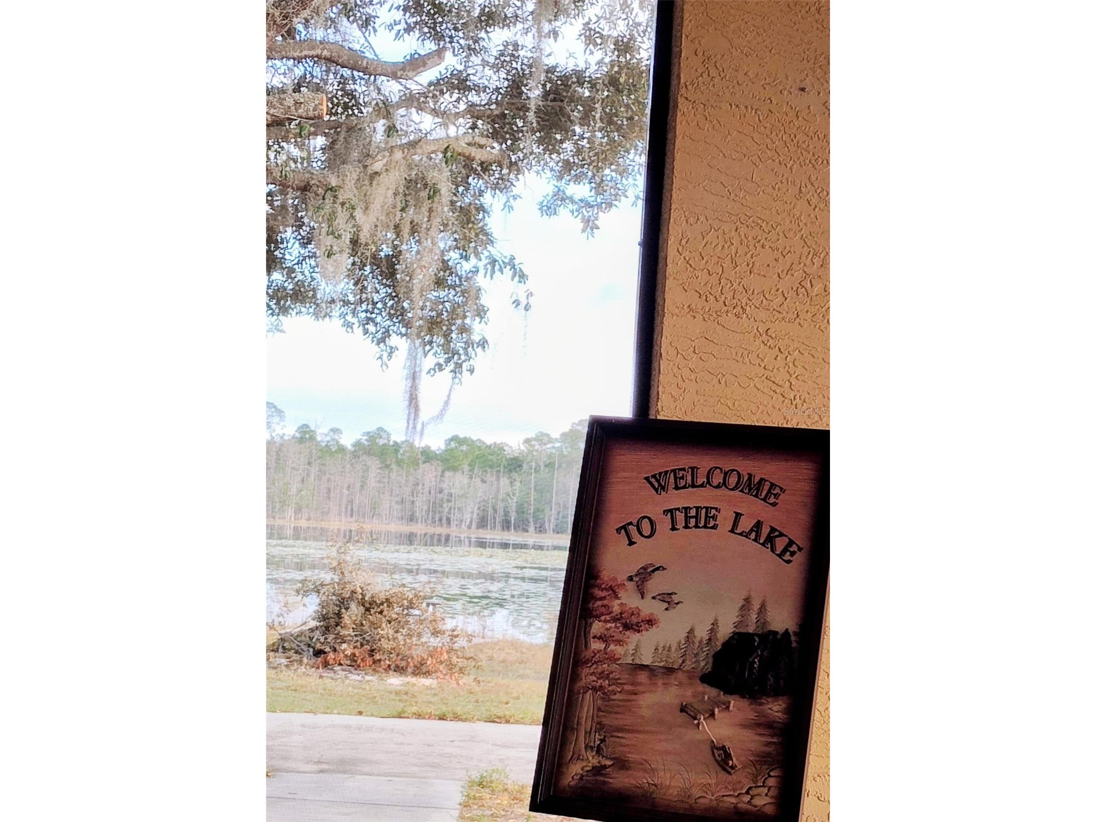 1045 Buckles Road Pierson FL 32180 NS1086882 image25