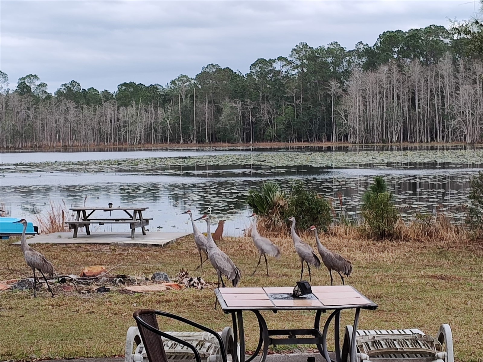 1045 Buckles Road Pierson FL 32180 NS1086882 image3