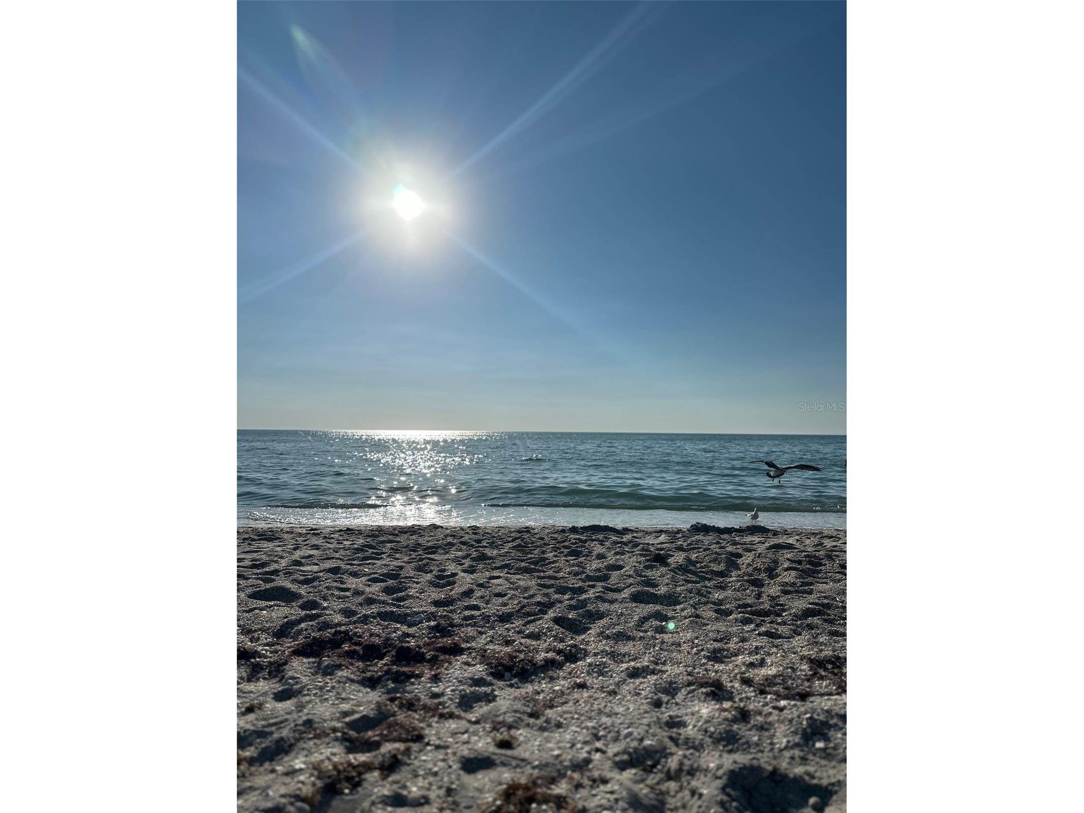 1045 Cumberland Road Venice FL 34293 A4687516 image32