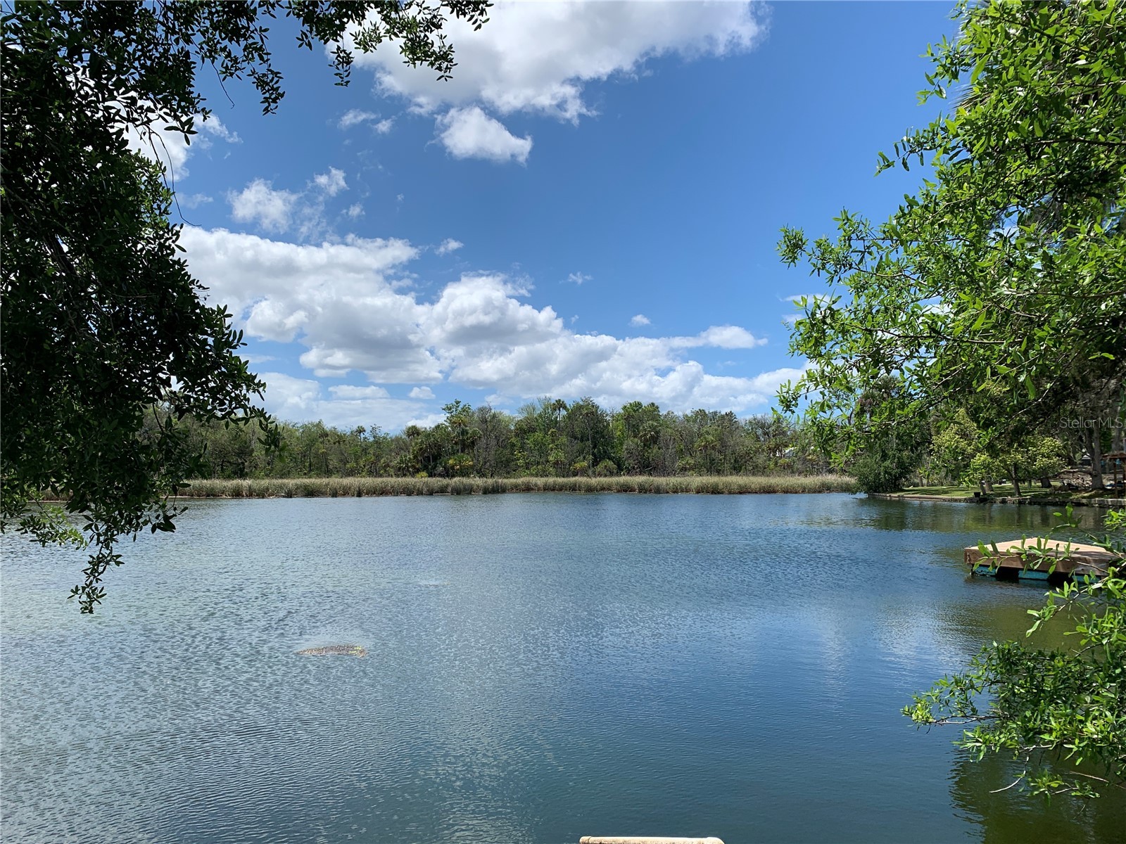 1045 N Crescent Drive Crystal River FL 34429 G5110854 image2