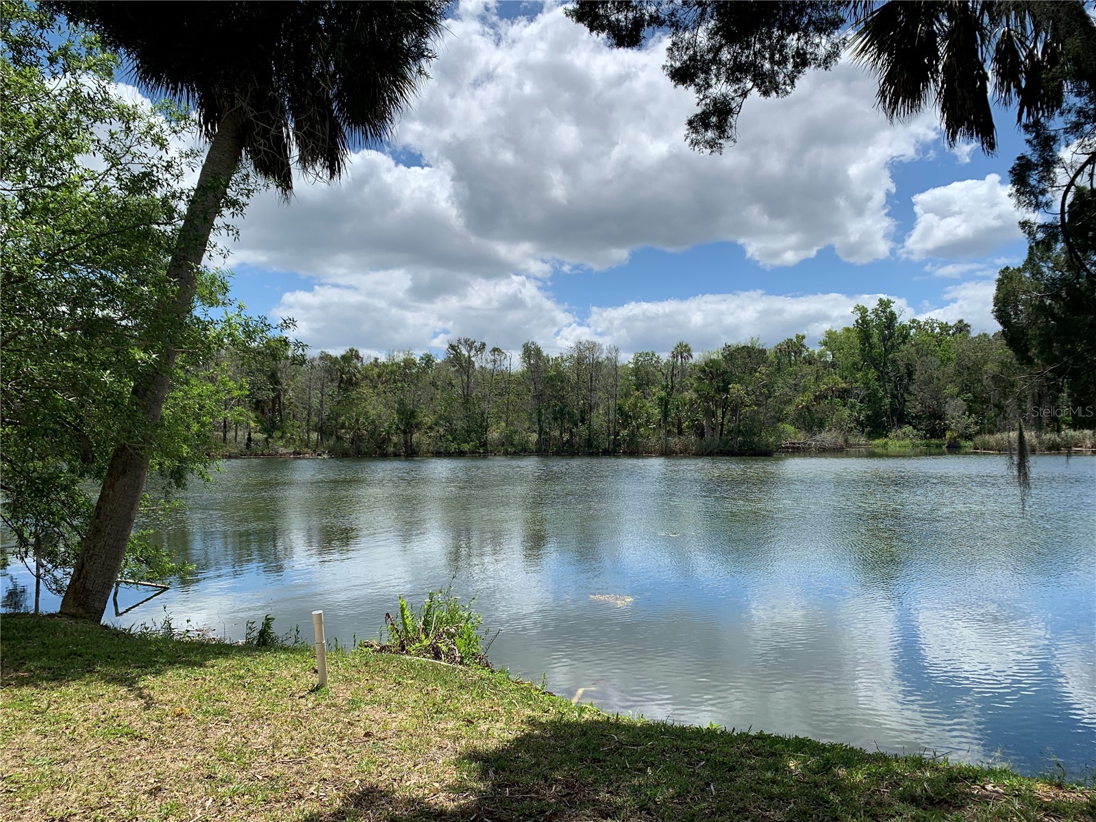 1045 N Crescent Drive Crystal River FL 34429 G5110854 image3