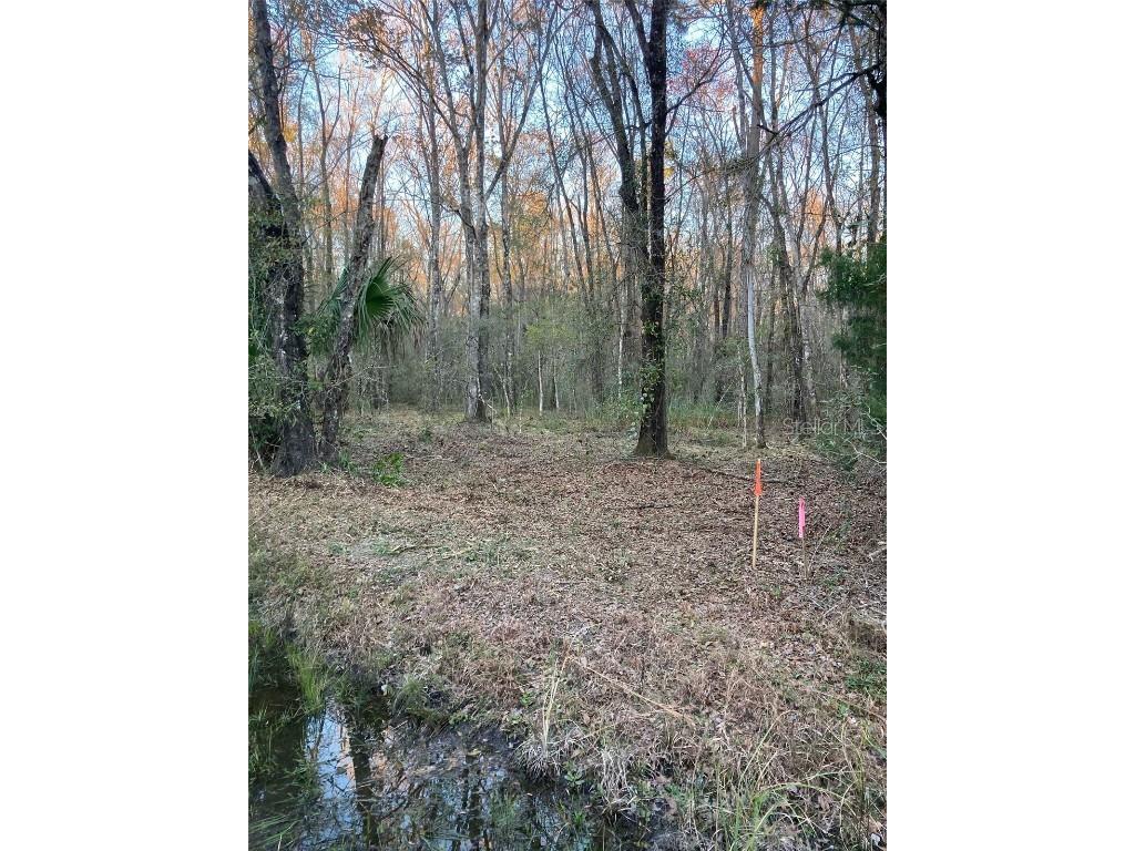 10450 Weatherby Avenue Hastings FL 32145 FC309223 image1