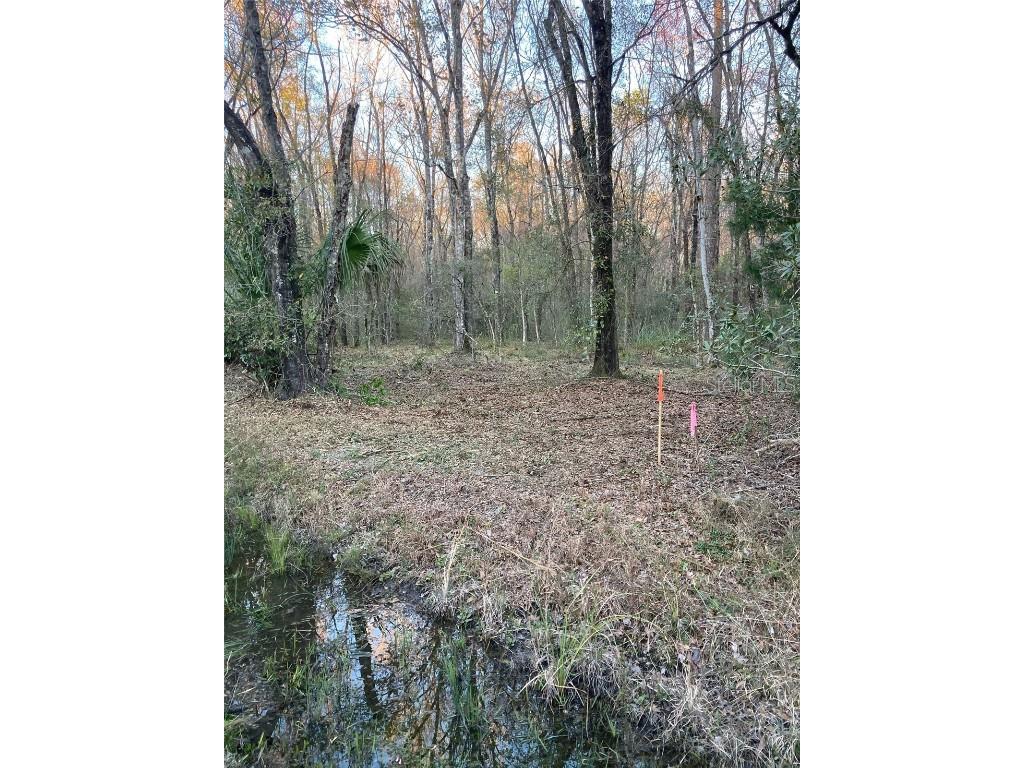 10450 Weatherby Avenue Hastings FL 32145 FC309223 image2