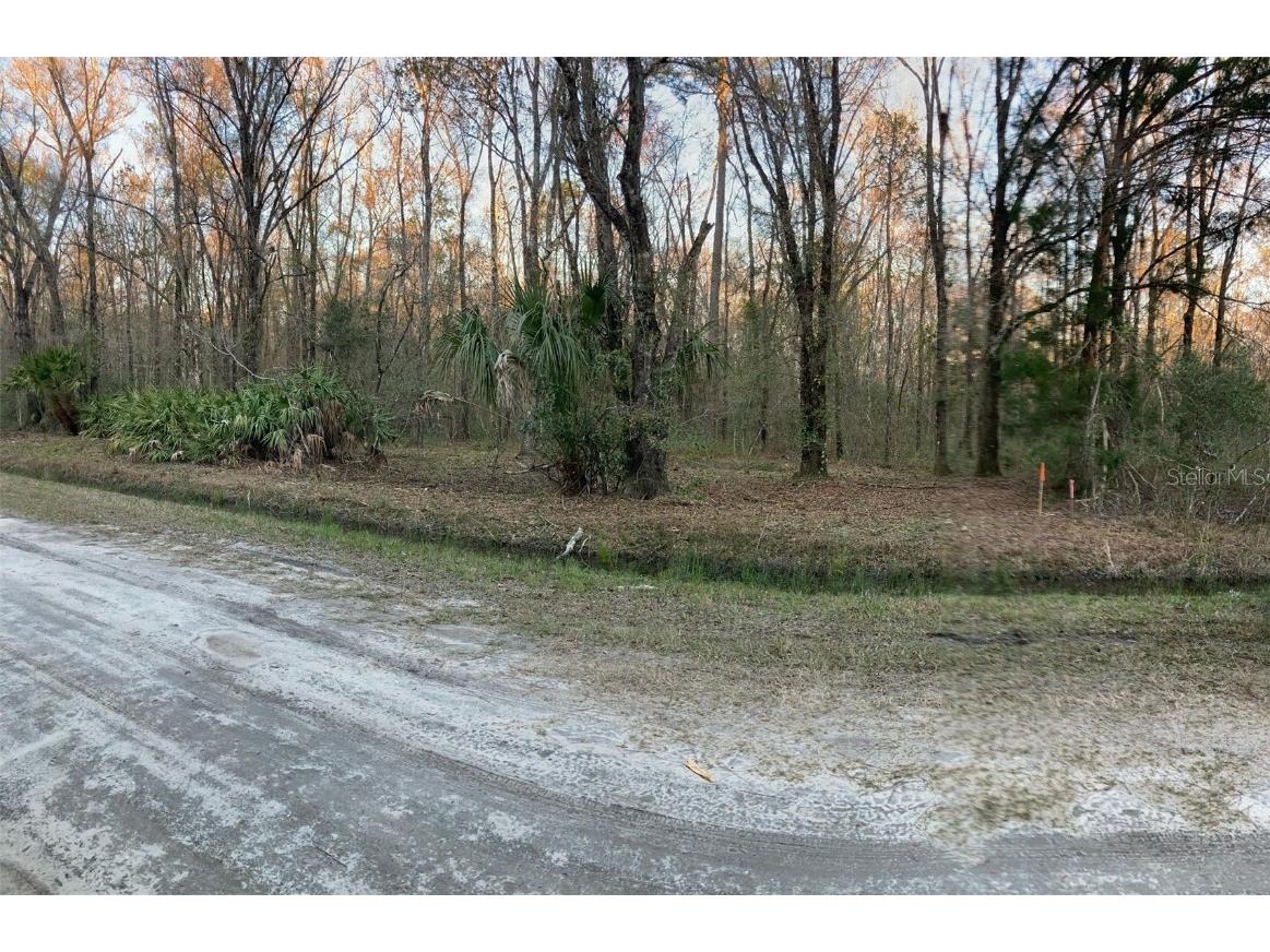 10450 Weatherby Avenue Hastings FL 32145 FC309223 image3