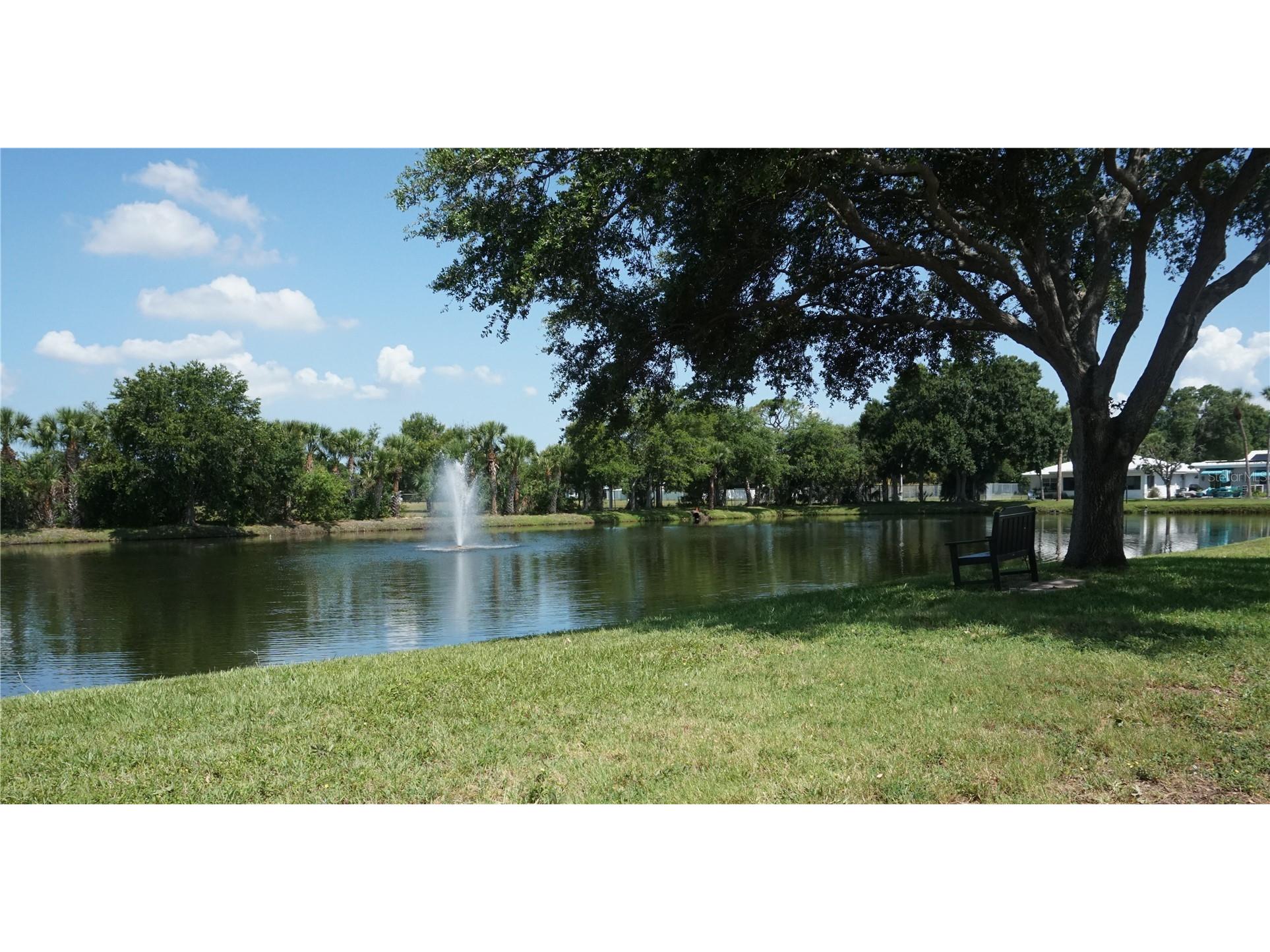 10451 Azalea Park Drive N #2 Pinellas Park FL 33782 TB8523997 image22