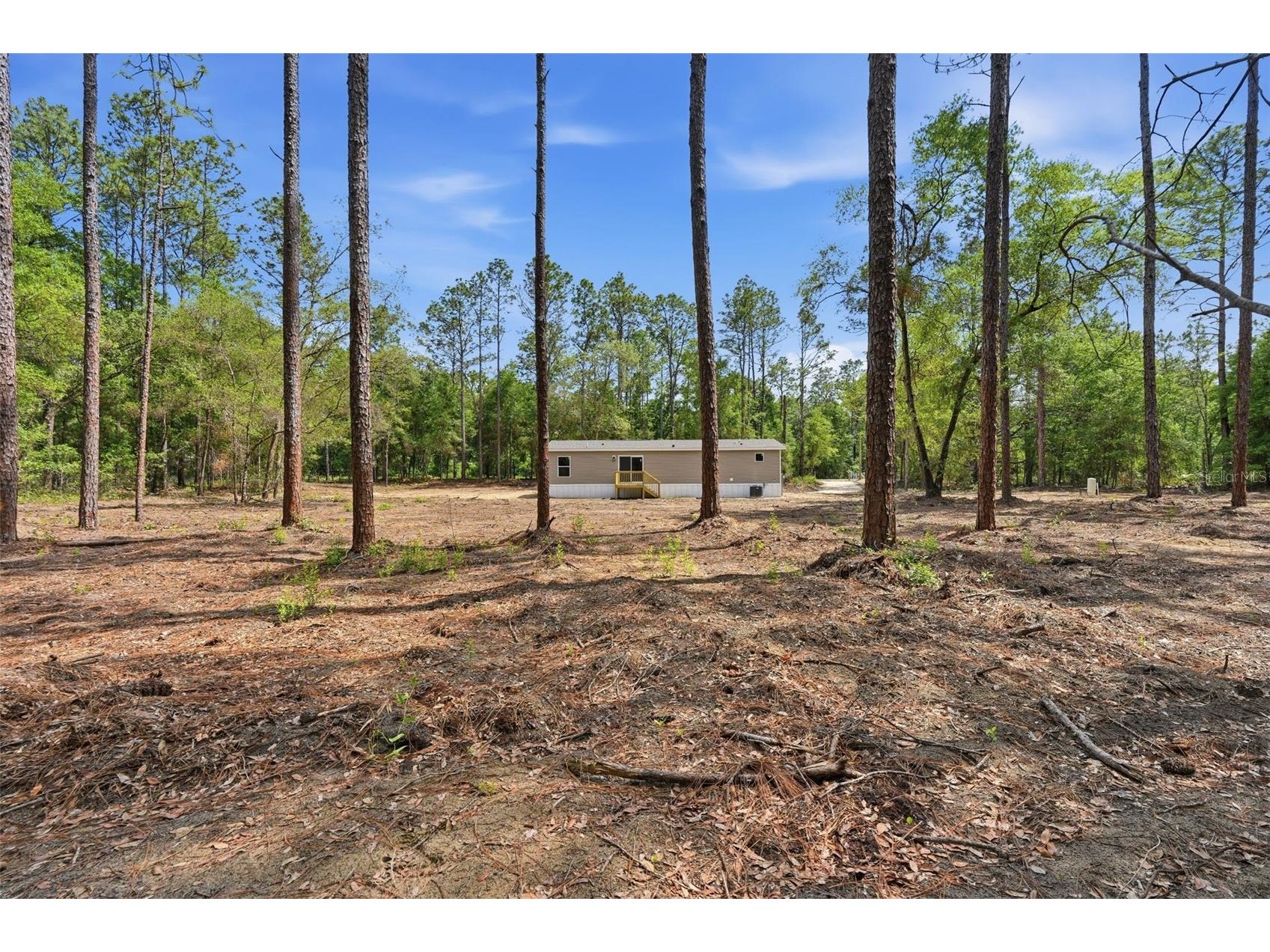 10451 NE 81st Street Bronson FL 32621 OM725292 image10