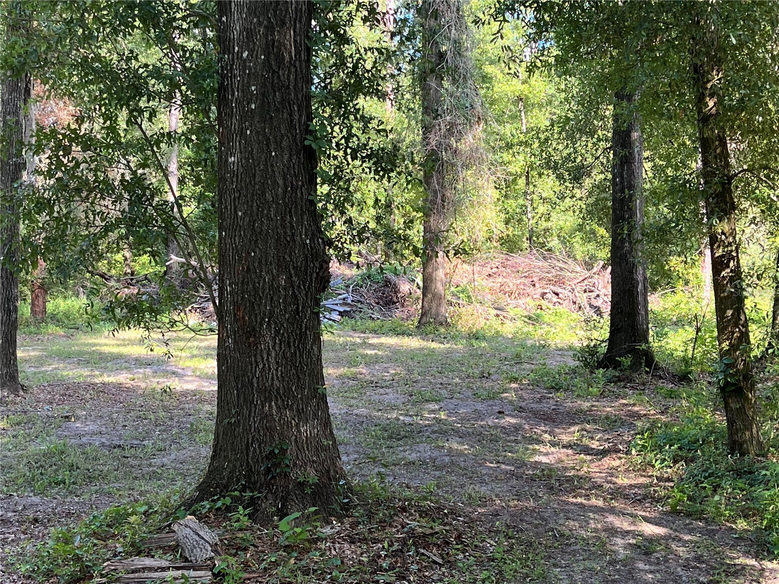 10452 County Road 136 Live Oak FL 32060 O6423698 image4