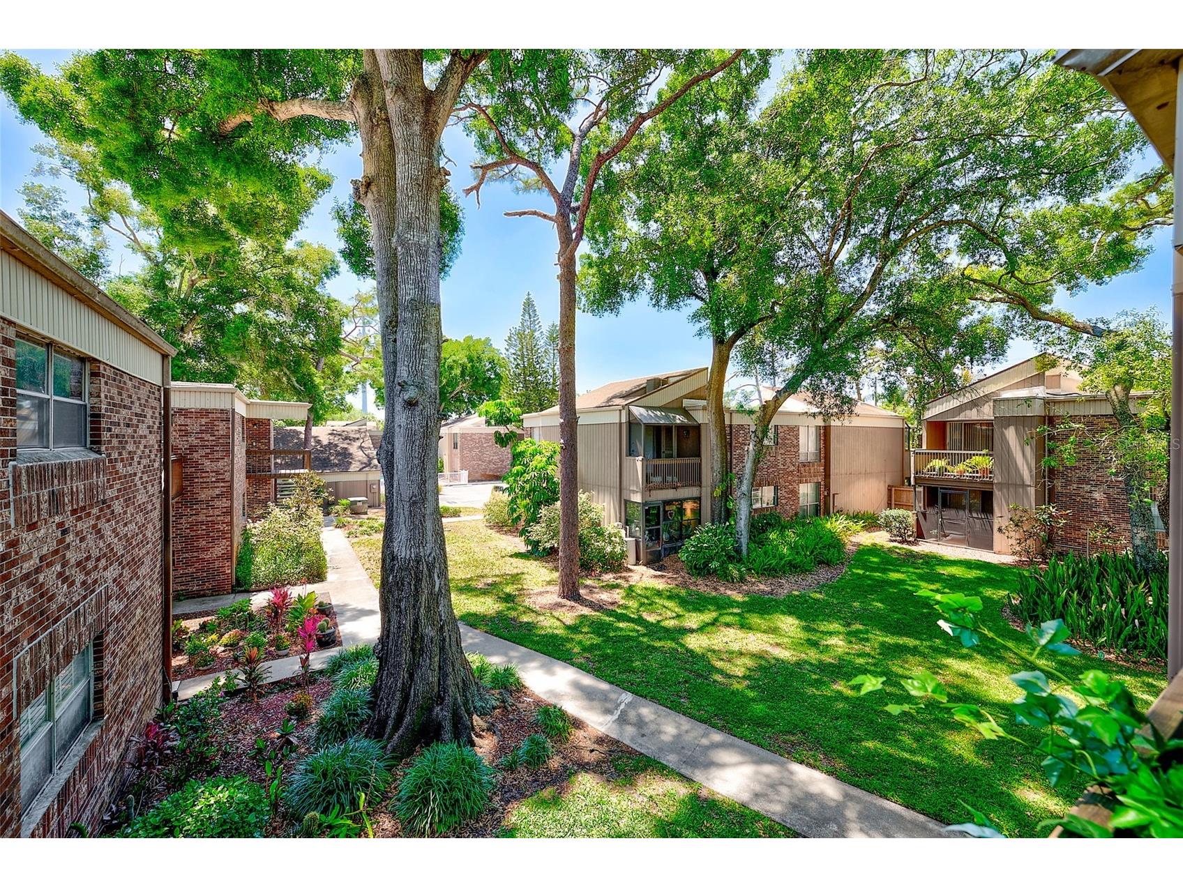 10453 Carrollbrook Circle #222 Tampa FL 33618 TB8522937 image24