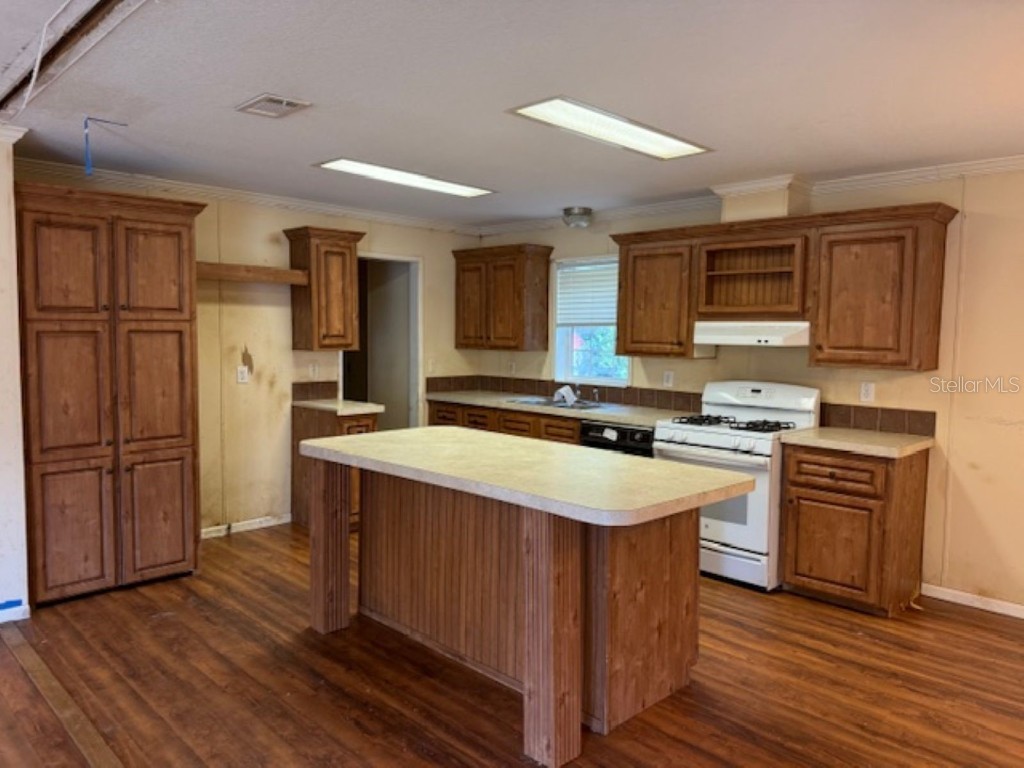 10454 SE 130th Lane Ocklawaha FL 32179 OM707612 image3