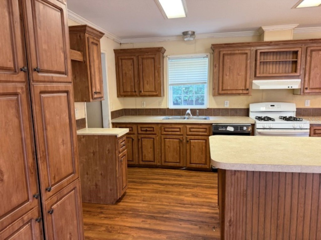 10454 SE 130th Lane Ocklawaha FL 32179 OM707612 image4