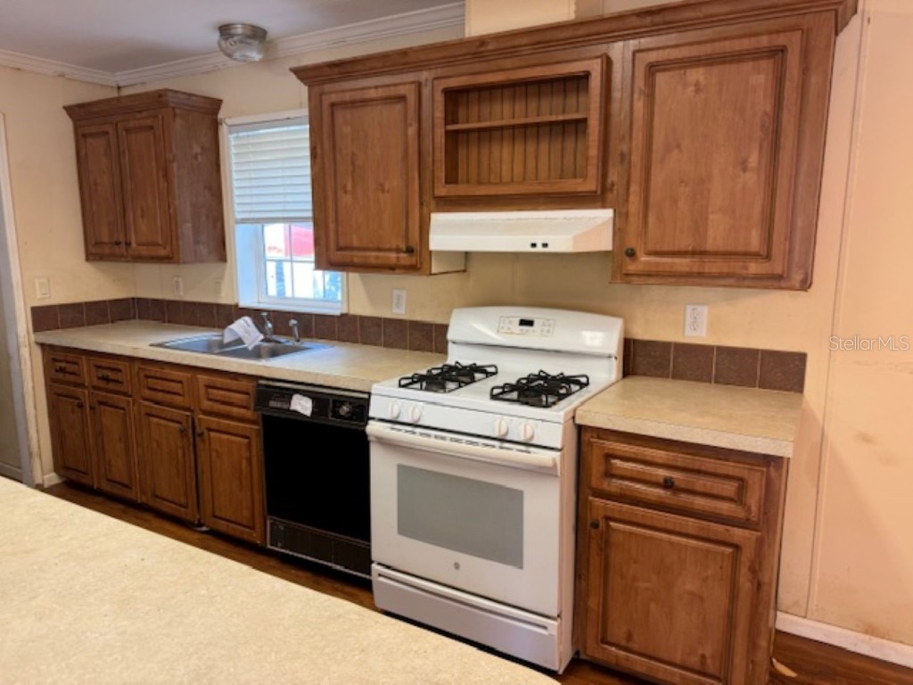 10454 SE 130th Lane Ocklawaha FL 32179 OM707612 image5