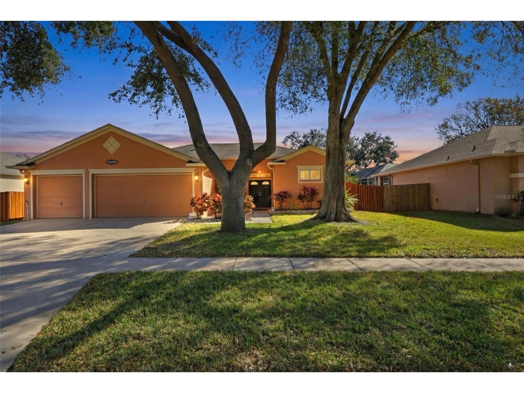 10455 Ashley Oaks Drive Riverview FL 33578 TB8477094 image1