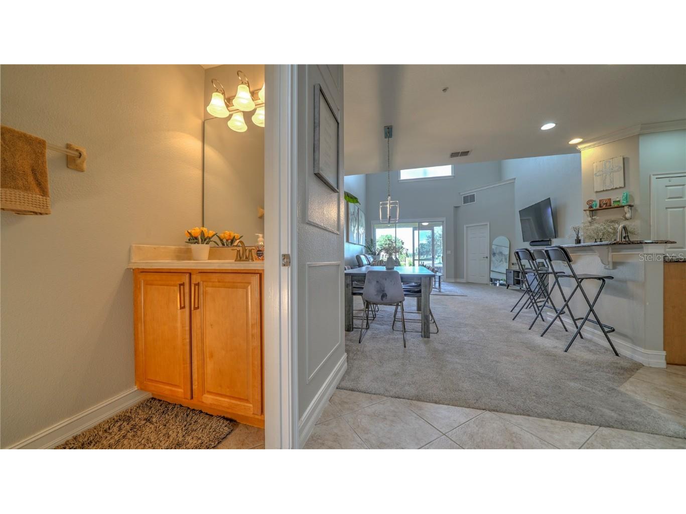 10455 Belfry Circle Orlando FL 32832 S5135410 image10