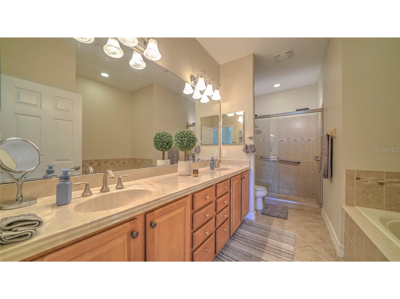 10455 Belfry Circle Orlando FL 32832 S5135410 image19