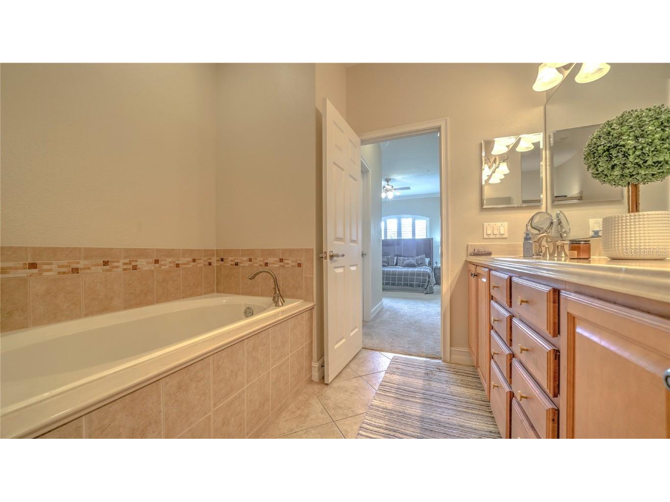 10455 Belfry Circle Orlando FL 32832 S5135410 image21