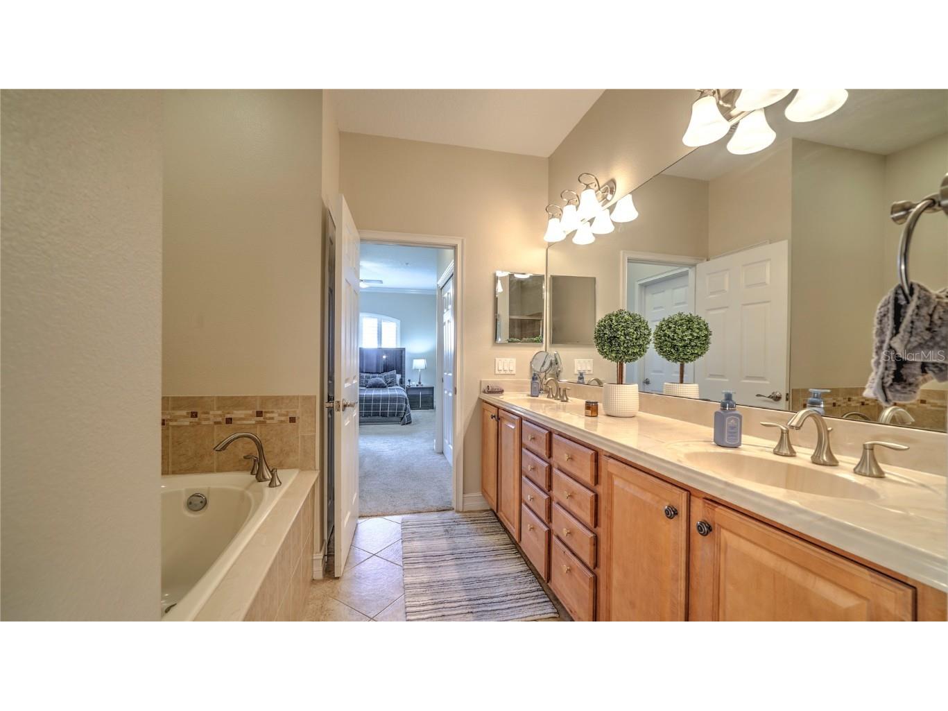 10455 Belfry Circle Orlando FL 32832 S5135410 image22