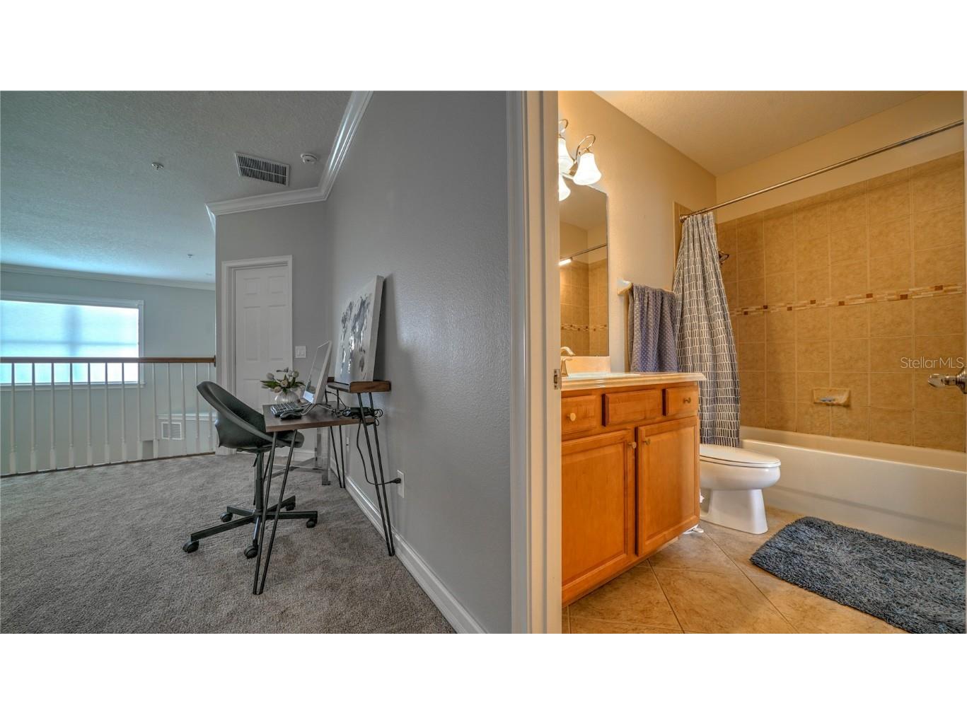 10455 Belfry Circle Orlando FL 32832 S5135410 image25