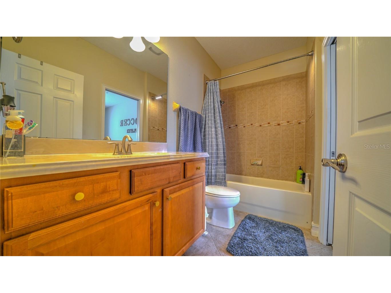 10455 Belfry Circle Orlando FL 32832 S5135410 image26