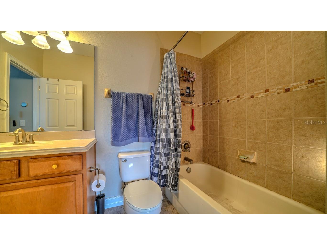 10455 Belfry Circle Orlando FL 32832 S5135410 image27