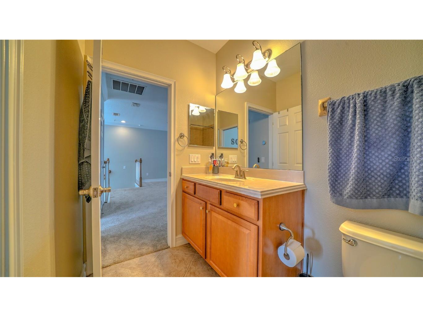 10455 Belfry Circle Orlando FL 32832 S5135410 image28