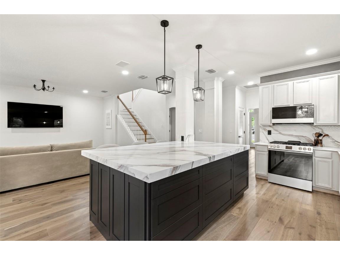 10455 Green Links Drive Tampa FL 33626 TB8423512 image11