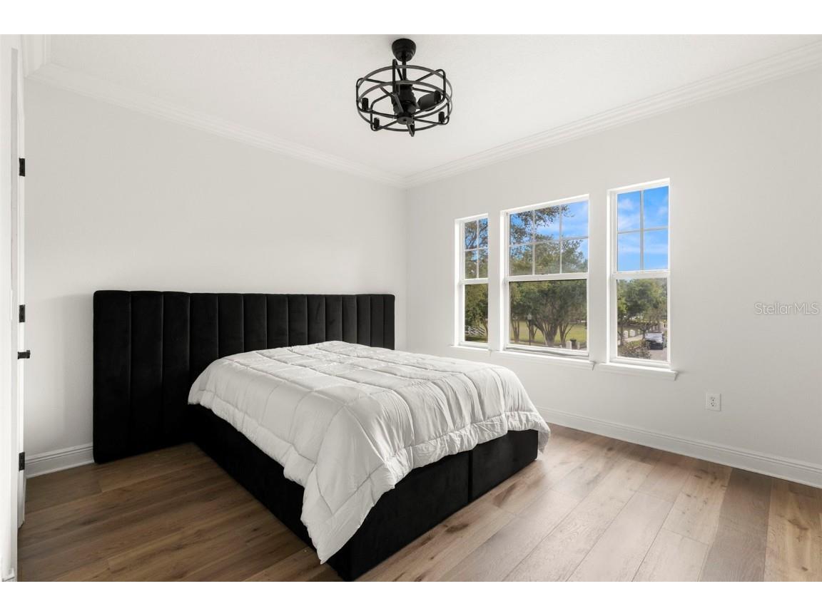 10455 Green Links Drive Tampa FL 33626 TB8423512 image24