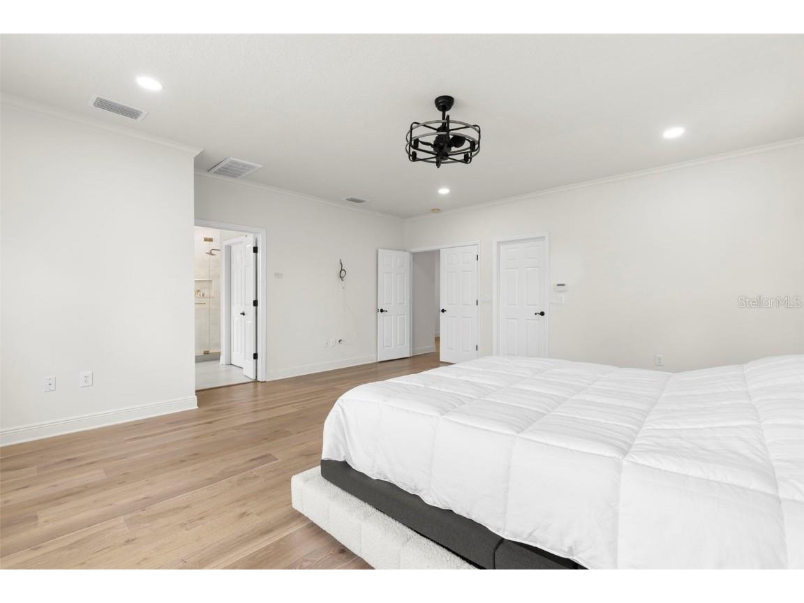 10455 Green Links Drive Tampa FL 33626 TB8423512 image27