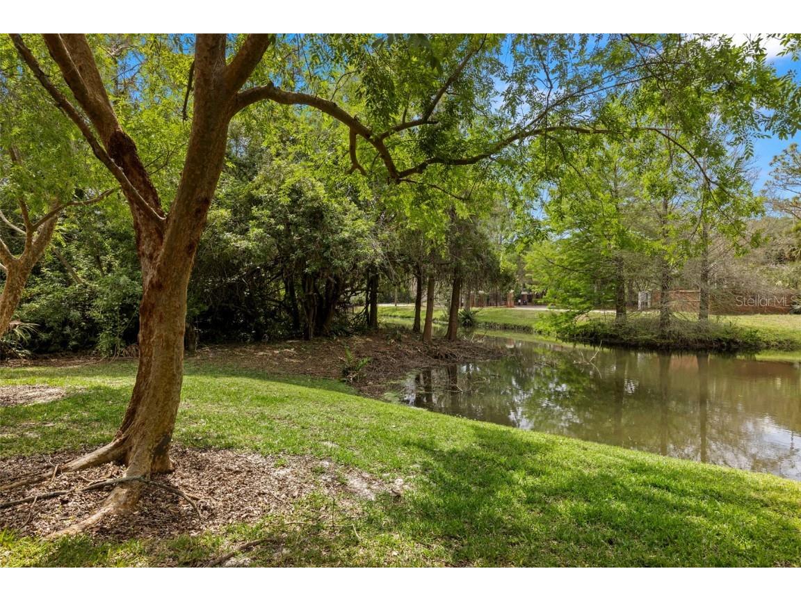 10455 Green Links Drive Tampa FL 33626 TB8423512 image33